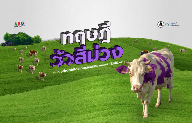ทฤษฎีวัวสีม่วง : Pitch อย่างไรให้ “โดดเด่น” และ “แตกต่าง”
